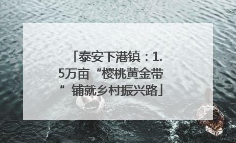 泰安下港镇：1.5万亩“樱桃黄金带”铺就乡村振兴路