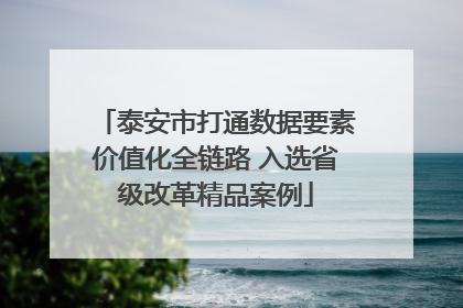 泰安市打通数据要素价值化全链路 入选省级改革精品案例