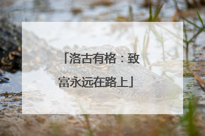 洛古有格：致富永远在路上