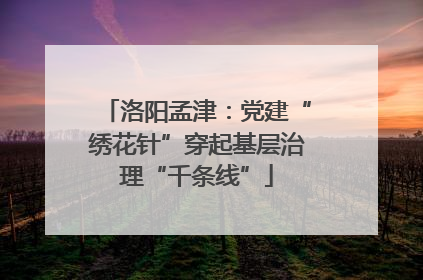 洛阳孟津：党建“绣花针”穿起基层治理“千条线”