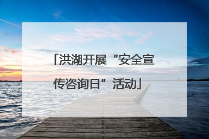 洪湖开展“安全宣传咨询日”活动