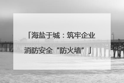 海盐于城：筑牢企业消防安全“防火墙”