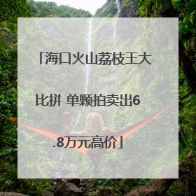 海口火山荔枝王大比拼 单颗拍卖出6.8万元高价