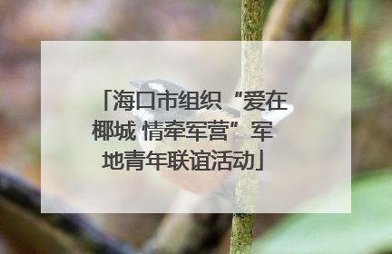 海口市组织“爱在椰城 情牵军营”军地青年联谊活动