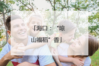 海口：“琼山福稻”香