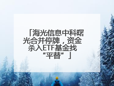 海光信息中科曙光合并停牌，资金杀入ETF基金找“平替”