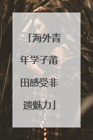 海外青年学子莆田感受非遗魅力