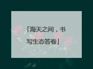 海天之间，书写生态答卷