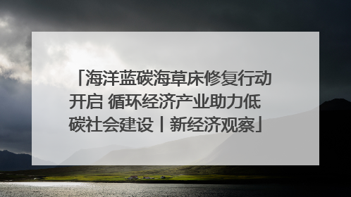 海洋蓝碳海草床修复行动开启 循环经济产业助力低碳社会建设丨新经济观察