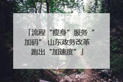 流程“瘦身”服务“加码” 山东政务改革跑出“加速度”