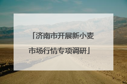 济南市开展新小麦市场行情专项调研