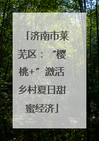 济南市莱芜区：“樱桃+”激活乡村夏日甜蜜经济