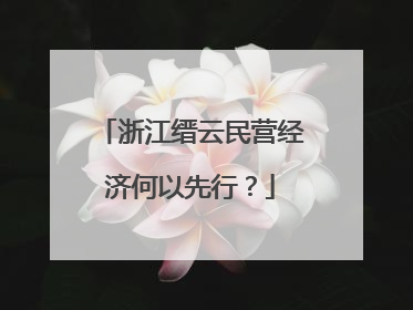浙江缙云民营经济何以先行？