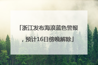 浙江发布海浪蓝色警报，预计16日傍晚解除