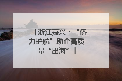 浙江嘉兴：“侨力护航”助企高质量“出海”