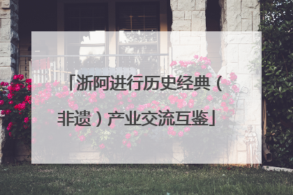 浙阿进行历史经典（非遗）产业交流互鉴