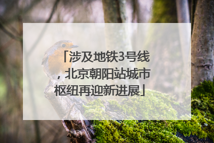 涉及地铁3号线，北京朝阳站城市枢纽再迎新进展