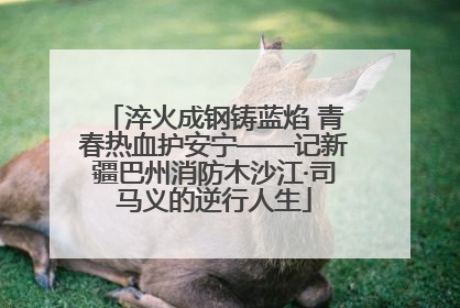 淬火成钢铸蓝焰 青春热血护安宁——记新疆巴州消防木沙江·司马义的逆行人生