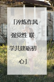 淬炼作风强党性 联学共建砺初心