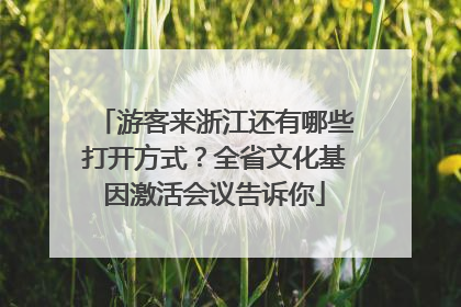 游客来浙江还有哪些打开方式？全省文化基因激活会议告诉你