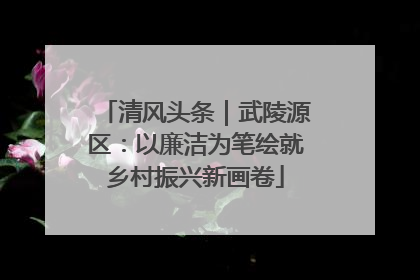 清风头条｜武陵源区：以廉洁为笔绘就乡村振兴新画卷