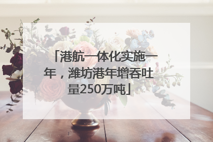 港航一体化实施一年，潍坊港年增吞吐量250万吨
