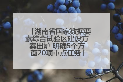 湖南省国家数据要素综合试验区建设方案出炉 明确5个方面20项重点任务