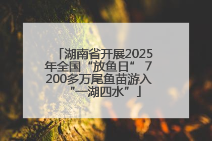 湖南省开展2025年全国“放鱼日” 7200多万尾鱼苗游入“一湖四水”