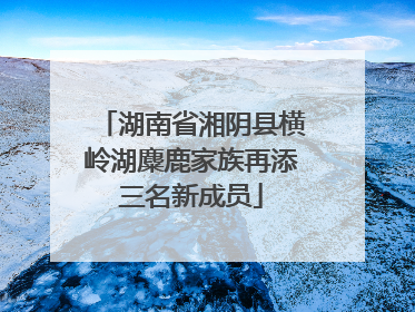 湖南省湘阴县横岭湖麋鹿家族再添三名新成员