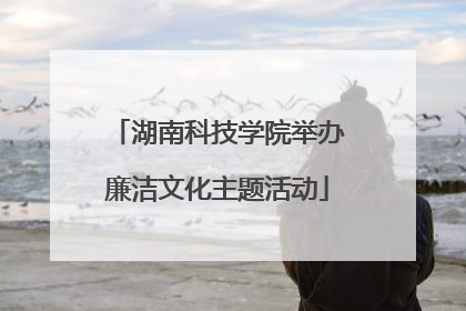 湖南科技学院举办廉洁文化主题活动