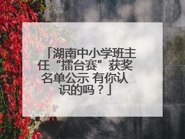 湖南中小学班主任“擂台赛”获奖名单公示 有你认识的吗？