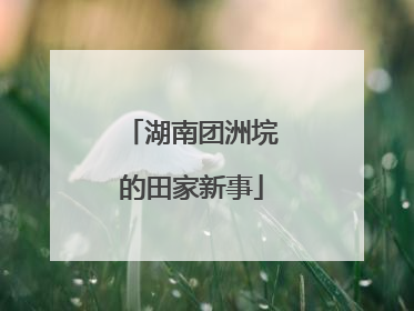湖南团洲垸的田家新事