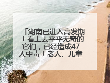 湖南已进入高发期！看上去平平无奇的它们，已经造成47人中毒！老人、儿童是高发人群