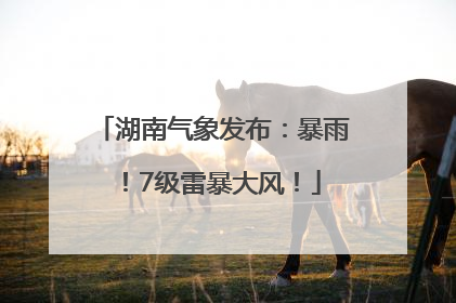 湖南气象发布：暴雨！7级雷暴大风！