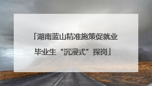 湖南蓝山精准施策促就业 毕业生“沉浸式”探岗
