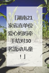 湖南21家省直单位爱心妈妈牵手结对30名流动儿童！