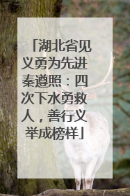 湖北省见义勇为先进秦遵照：四次下水勇救人，善行义举成榜样