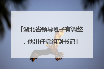 湖北省领导班子有调整，他出任党组副书记