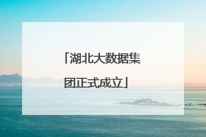 湖北大数据集团正式成立