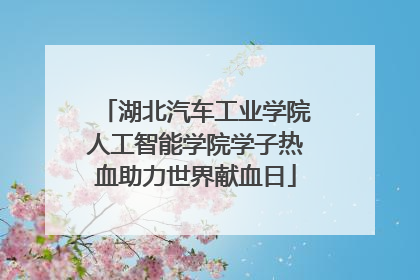 湖北汽车工业学院人工智能学院学子热血助力世界献血日