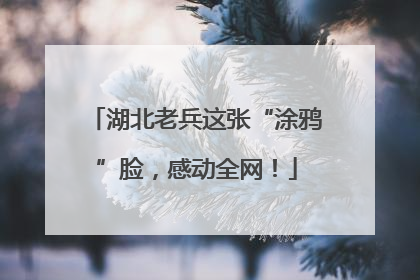 湖北老兵这张“涂鸦”脸，感动全网！