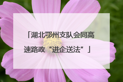湖北鄂州支队会同高速路政“进企送法”
