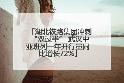 湖北铁路集团冲刺“双过半” 武汉中亚班列一年开行量同比增长72%