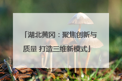 湖北黄冈：聚焦创新与质量 打造三维新模式