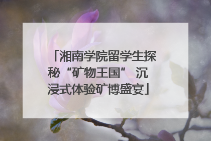 湘南学院留学生探秘“矿物王国” 沉浸式体验矿博盛宴