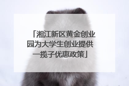 湘江新区黄金创业园为大学生创业提供一揽子优惠政策
