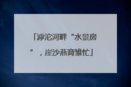 滹沱河畔“水景房”，崖沙燕育雏忙