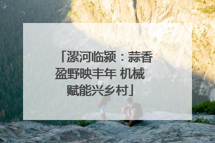 漯河临颍：蒜香盈野映丰年 机械赋能兴乡村