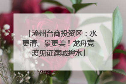 漳州台商投资区：水更清、景更美！龙舟竞渡见证满城碧水