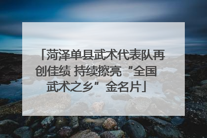 菏泽单县武术代表队再创佳绩 持续擦亮“全国武术之乡”金名片